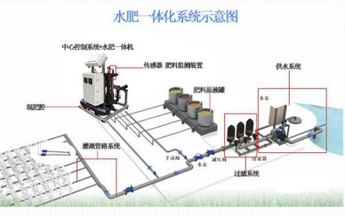 無(wú)土栽培與環(huán)控水肥一體化系統(tǒng) 建筑節(jié)能設(shè)備研發(fā)入門指南
